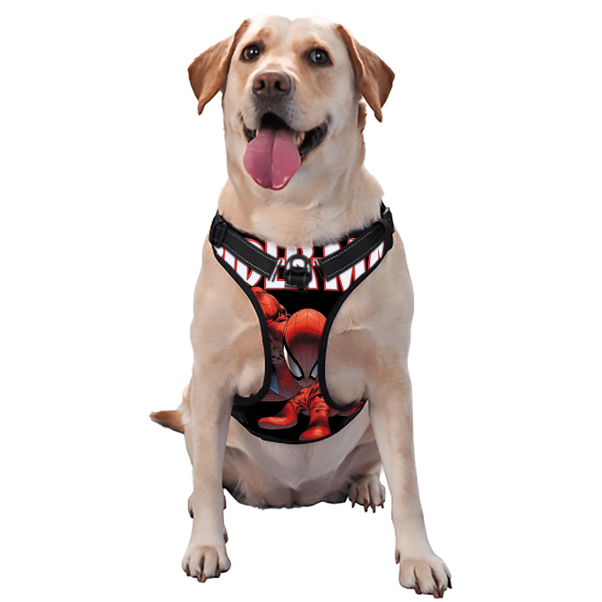 （画像用） Spider Man スパイダーマン ペット用ハーネス